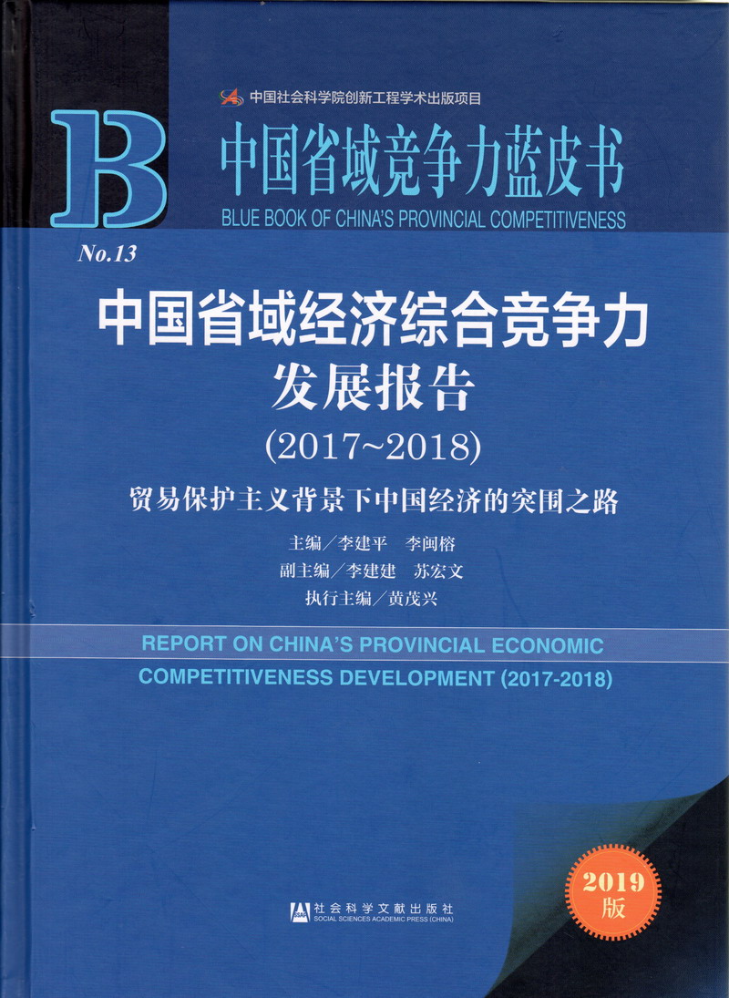 大鸡吧插你逼网站中国省域经济综合竞争力发展报告（2017-2018）